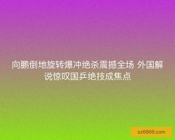 向鹏倒地旋转爆冲绝杀震撼全场 外国解说惊叹国乒绝技成焦点